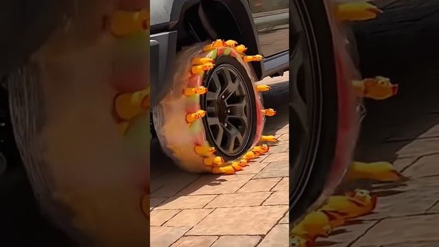 1000002201.mp4 смотреть онлайн