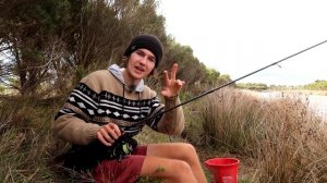 Food Chain Fishing Challenge (Estuary Edition 2)