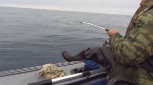 Плоское эльдорадо! Ловля камбалы в Приморье) #активныйотдых #море #камбала #приморскийкрай #рыбалка