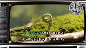 Караоке - На дальней станции сойду