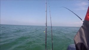 Ловля лосося в море. Троллинг.