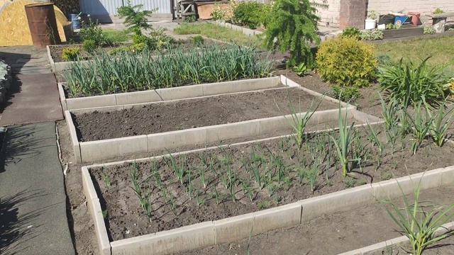 Моя любимая дача!!! смотреть онлайн