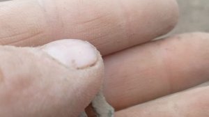 находка моей мечты сделала мой день!Мечта любого копателя!🙏😀😀😀