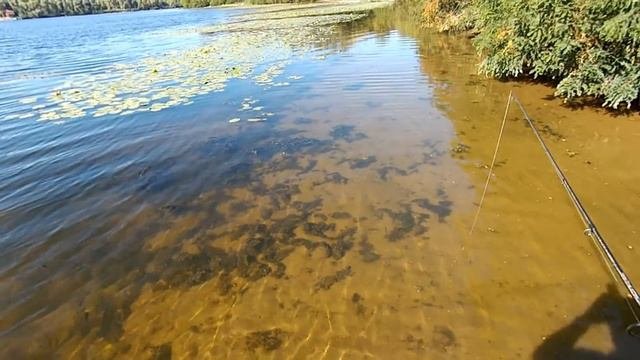 Ловля на джиг. Секреты подготовки. Часть 2.