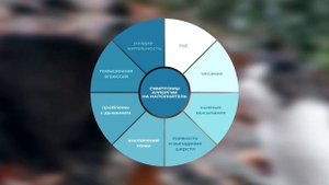 Может ли у кошки быть аллергия на наполнитель? Выбираем наполнитель для чувствительной кошки