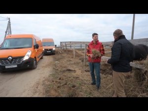 Что круче? ГАЗель NEXT ЦМФ VS Renault MASTER | Выбор есть!