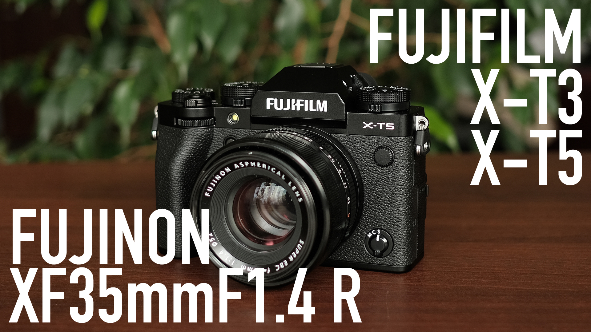 FUJINON XF35mmF1.4 R | XT3 x XT5