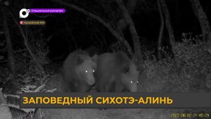 Спецрепортаж. Сихотэ-алинский заповедник