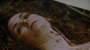 Теория запертой комнаты или как словить Макконахи отрывки из сериала Настоящий детектив