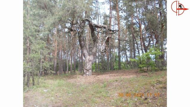 2021 05 30 #_ЛЕВКОВСКАЯ_СТРУНА_(28+_КМ) смотреть онлайн