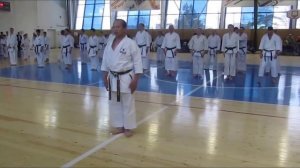 История каратэ/Киокушин каратэ/Вадо-рю каратэ/Сито-рю каратэ.