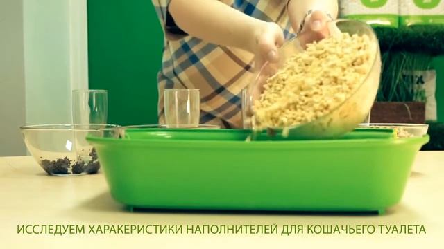 Выбираем наполнитель для кошек и грызунов смотреть онлайн