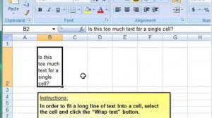 MS Excel Training Module 1 Formatting Cells – Lesson 8 wrap text