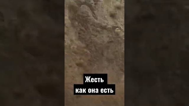 Жесть. Грязь. #квадроцикл #замесы смотреть онлайн