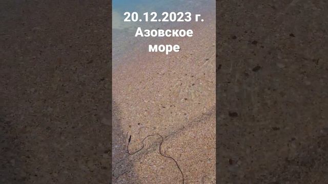 20 декабря 2023 г. Африканская жара!? Азовское море, температура воды, воздуха.