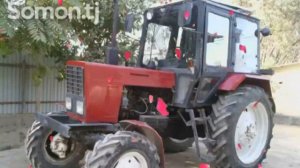 ТУЙ БОБ КУШИКЛАР