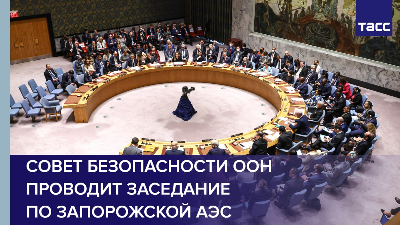 Совет безопасности ООН проводит заседание по Запорожской АЭС