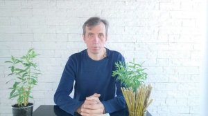 Как подготовить черенки ивы к посадке. Как растет ива (2 выпуск)