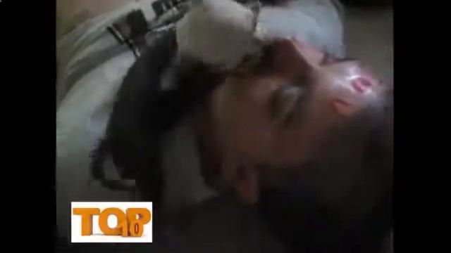 Пьяные падения и приколы