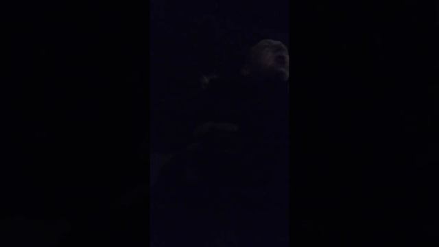 Finik навечно смотреть онлайн