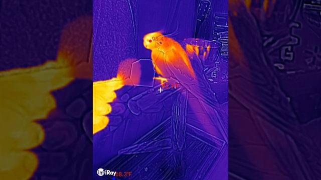 billy does NOT want a cracker doogee s98 pro thermal camera