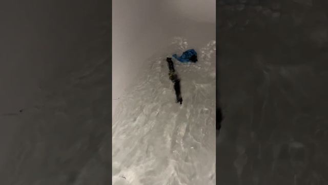 Проверяем 1.4 «Остановить воду» #лайфхак #проверкалайфхаков смотреть онлайн