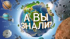 А вы знали? Томаты. 29.06.2024