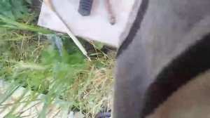 Сколько меди в двигателе (моторе) холодильника