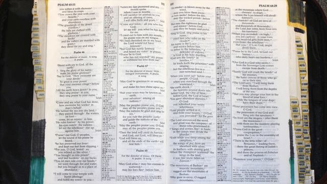 Holy Bible - Psalm 66 : 1 - 20 смотреть онлайн