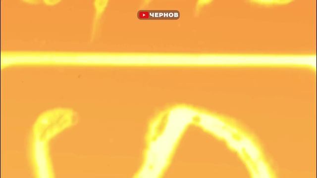 Подставное свидание с мужиком из одноклассников / Горячий сюрприз под юбкой Лены / Пранк / Чернов смотреть онлайн