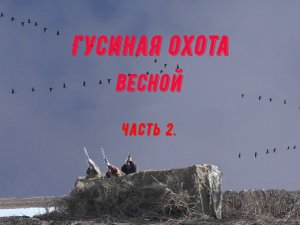 Гусиная охота. А гусь все летел и летел. Spring goose hunting, mass passage. Ч.2