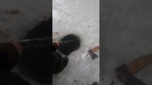 рыбалка в якутии Караси