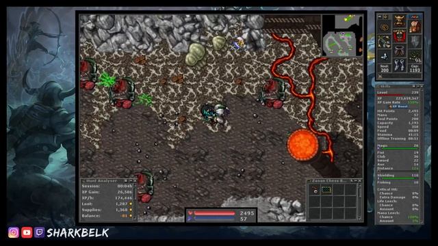 VANDURA BONELORD CAVE - Where To Profit With Paladins Lvl 70+ [TIBIA] смотреть онлайн