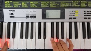 CASIO LK-135 | Sound & Rhythm Review + Demo
