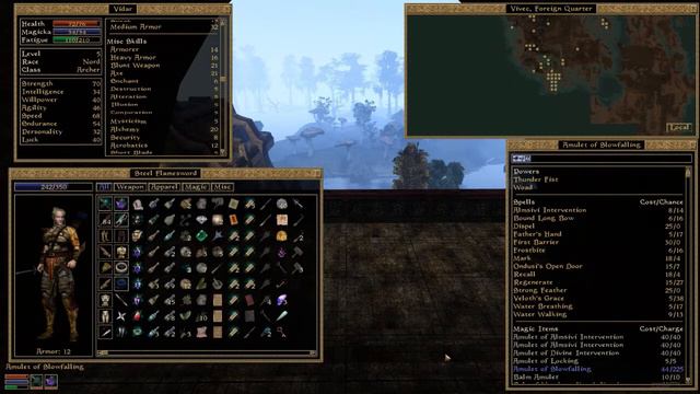 Hijack Role-Plays Morrowind : Episode 40 | Mission to Vivec смотреть онлайн