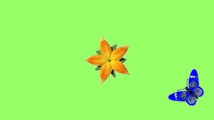 Зрительная гимнастика.