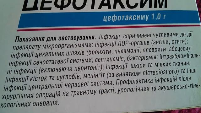 Цефотаксим
