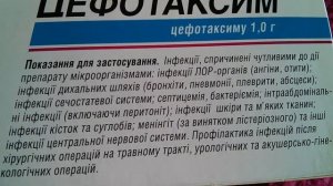 Цефотаксим