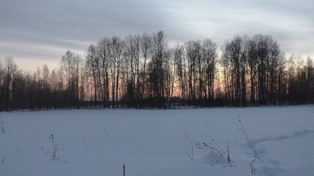 ЗИМНЯЯ ОХОТА НА ТЕТЕРЕВА НА ЛУНКАХ 2021. ДВЕНАДЦАТЬ ЧЁРНЫХ КОСАЧЕЙ ПОДНИМАЛИСЬ ИЗ ПОД НОГ.