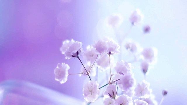 Сатья Саи Баба: Асатома, Со-Хам, Самаста Лока Сукхино Баванту #мантры смотреть онлайн