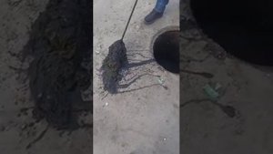 Чистка мусороуловителя канализации колодца у тц "Магнит"
