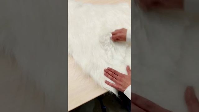Чистка меха. Надувной костюм белый медведь