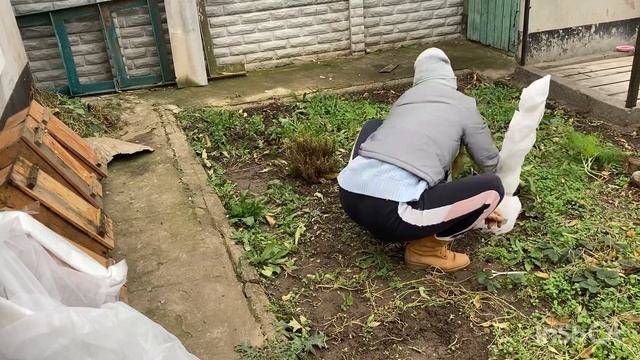 ДОМАШНИЕ ДЕЛА ГОТОВИМ РАСТЕНИЯ К ЗИМЕ