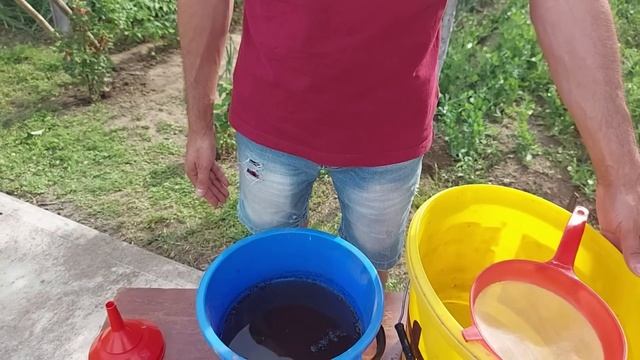 Solutia perfecta pentru rosii impotriva bolilor fungice - Fungicid si Fertilizant 100 % BIO смотреть онлайн