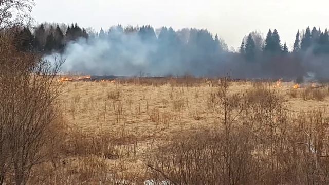 Горит поле смотреть онлайн