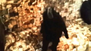 Лай собаки. Черный той пудель