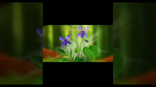 Ознакомление с растениями луга