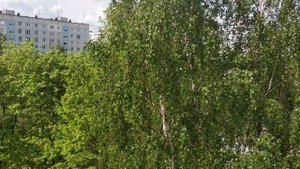 Гул земли, Москва, 2019