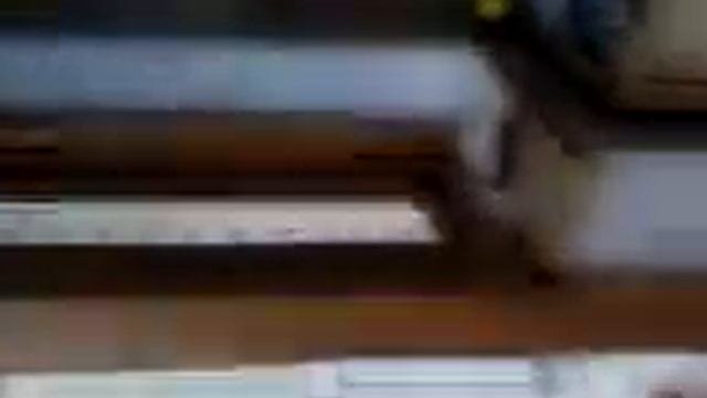 Копаем колодец на даче 3 11 2008