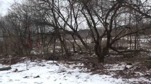 Терехово 109 - 25 ноября 2021 года.